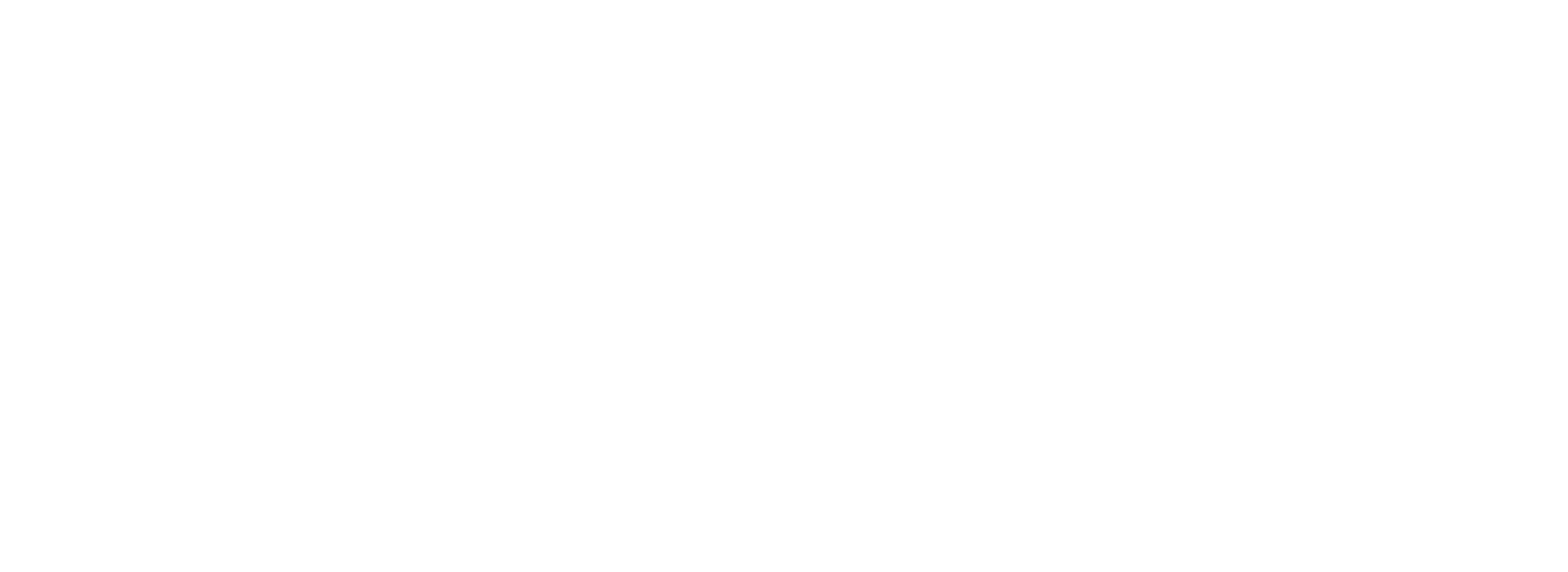 Logo FP transporte BRANCA